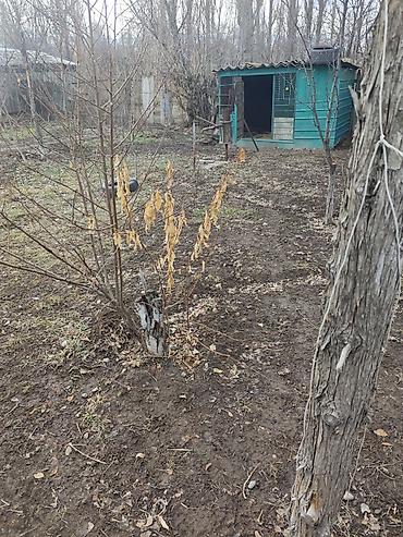 Продажа коттеджей и домов: Продается дом с участком . с.Ново Николаевка ул. Демьяна бедного 18 — 7