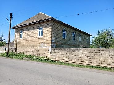 3 otaqlı kiraye evler: 5 otaqlı, 251 kv. m, Kredit yoxdur, Təmirsiz — 1