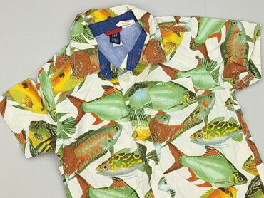 kombinezon kopertowy krótki: Shirt 2-3 years, condition - Perfect, pattern - Print, color - Multicolored