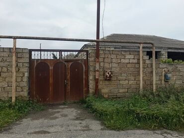berber kreslolari: Kürdexanı Zeytun luq, Al marketin arxasında 5 sot heyet Tecili satılır