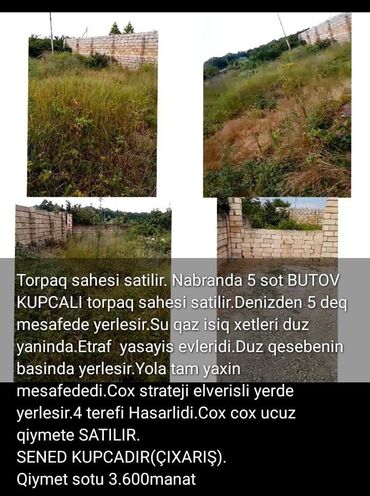 xocahesende torpaq satilir: 666 sot, Mülkiyyətçi, Kupça (Çıxarış)