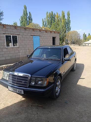 гелик мини: Mercedes-Benz W124: 1991 г., Седан — 1