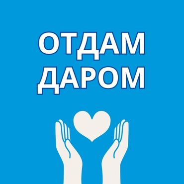 Отдам даром: Даром вещи для девочки бу на 2-3 класс примерно разные состояние