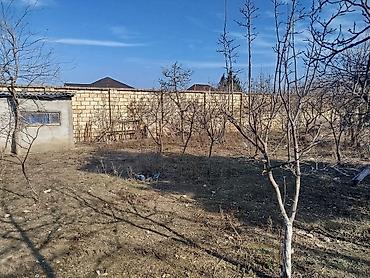 goradil: 4 sot, Tikinti, Maklerlər narahat etməsin, Kupça (Çıxarış) — 2