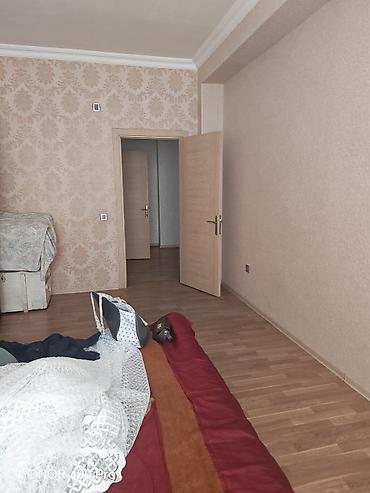 ev gəncə: 3 otaqlı, Yeni tikili, 111 kv. m — 1