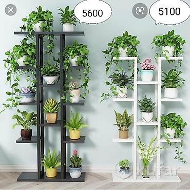 Тележки-органайзеры на колесах: Этажерки/стеллажи для комнатных растений - Дизайн: современные — 5