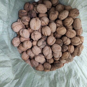 сушка для сухофруктов: Продаю грецкий орех, тонкокорые. город кант