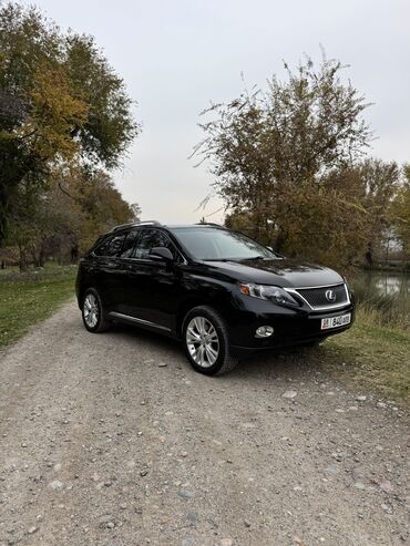 rx гибрид: Lexus RX: 2010 г., 3.5 л, Автомат, Гибрид