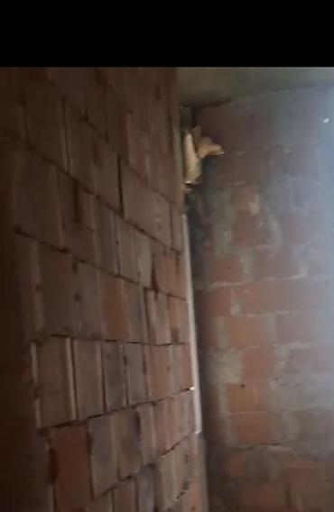 Mənzillərin satışı: Binəqədi qəs., 2 otaqlı, Yeni tikili, m. Azadlıq Prospekti, 42 kv. m — 10