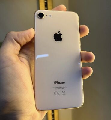 Apple iPhone: IPhone 8, 64 ГБ, Зарядное устройство, 69 %