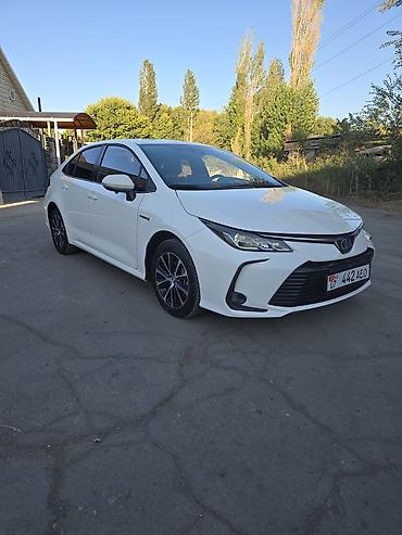 levin corolla: Toyota Corolla: 2022 г., Вариатор, Гибрид, Седан — 8