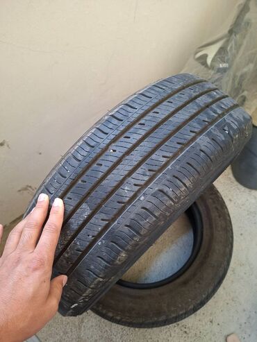 kia disk təkər: Новый Шина 195 / 65 / R 15