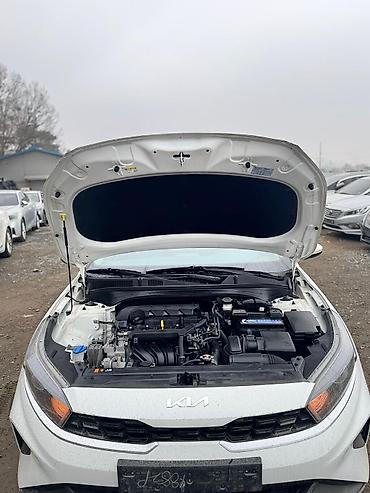 Kia: Kia K3: 2021 г., 1.6 л, Автомат, Бензин, Седан — 21