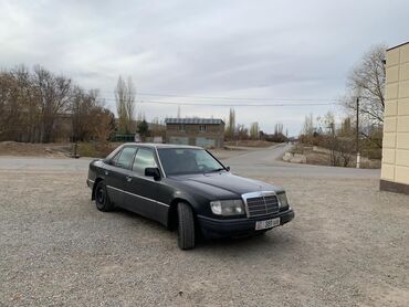 черный lamborghini: Mercedes-Benz W124: 1992 г., 2.5 л, Дизель, Седан