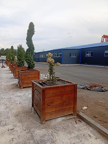 Упаковочные товары: Кашпо или вазоны для туи и больших растений высота .800 длина .900 — 2