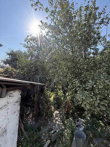 тез арада: 🏡 СРОЧНО ПРОДАЁТСЯ УЧАСТОК С ДОМОМ! 📍 Район: Шлагбаум Предлагаем — 5
