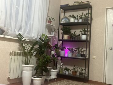 мебель малайзия: Продаю стеллаж