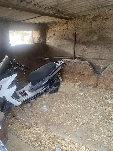 Гарнитуры для зала: Гарнитур для зала, Диван, цвет - Серый at lalafo.kg — 20 Гарнитуры для зала: Гарнитур для зала, Диван, цвет - Серый — 20