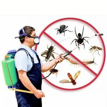 Дезинфекция, дезинсекция: Дезинфекция, дезинсекция, | Блохи, Вирусы, микробы, Клопы, | Подвал, погреб, Подъезды, Транспорт — 15