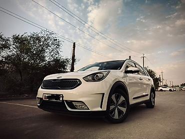 niro: Kia Niro: 2019 г., 1.6 л, Автомат, Гибрид, Кроссовер — 6