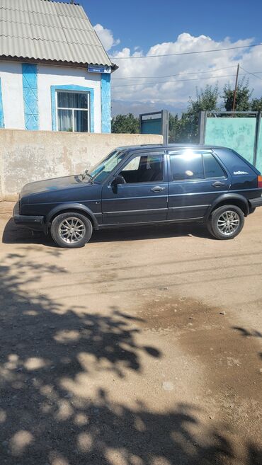 голфы 2: Volkswagen Golf: 1992 г., 1.8 л, Бензин, Хэтчбэк