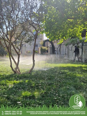 qutu satışı: Bağ, bagca, həyətyanı sahələrə, istixanalara(parniklərə) və əkin