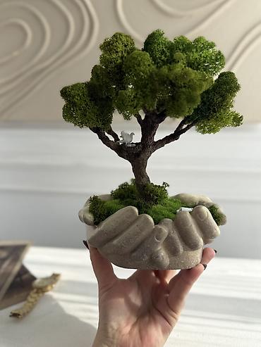 Декоративные цветы: Деревья-бонсай из натурального стабилизированного мха🌳 -это — 56