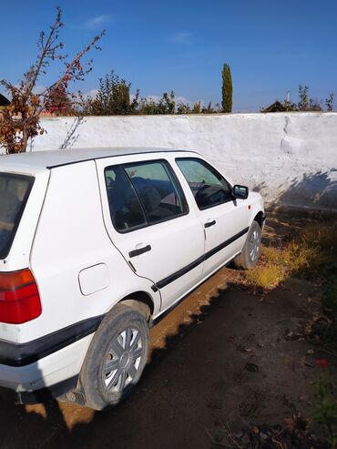 молдинги на пассат: Volkswagen Golf: 1992 г., 1.8 л, Механика, Бензин, Универсал