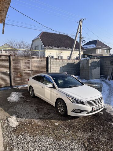 хундай салярис 2017: Hyundai Sonata: 2017 г., 2 л, Типтроник, Газ, Седан