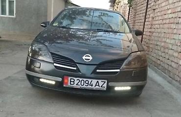 форсы черные: Продаю Nissan Primera (P12) 2.2 дизель . механика . левый руль . 2002 — 10