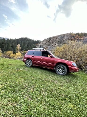 матиз автомат бишкек: Subaru Forester: 2002 г., 2 л, Автомат, Бензин, Универсал