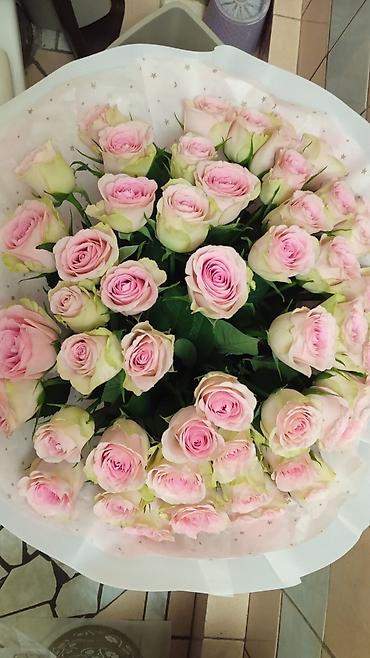 Цветы и букеты: Акция‼️‼️‼️101 и 51 роза букет 💐 любое оформление в подарок 🌹акция — 21