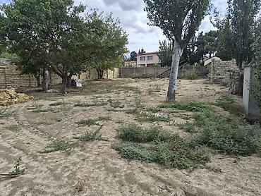 maştağada torpaq: 4 sot, Tikinti, Mülkiyyətçi, Kupça (Çıxarış) — 5