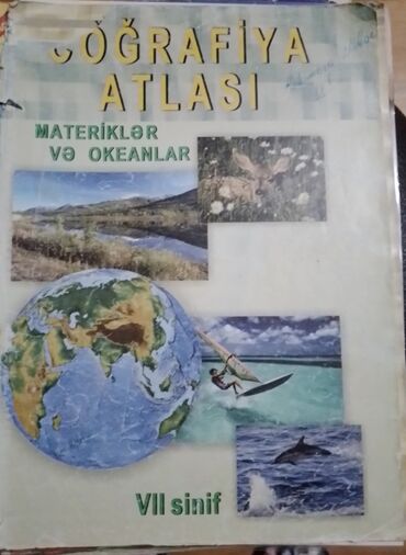 Testlər: Testlər — 6