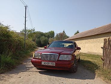 baki masin satisi: Mercedes-Benz W124: 3 l | 1993 il Sedan — 9