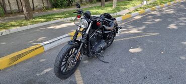 harley davidson sportster: Harley Davidson Iron 883 Sportster 2014 г.в. пробег 6тыс. км