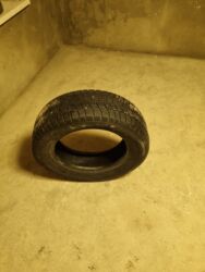 коробка опель вектра б: Шины