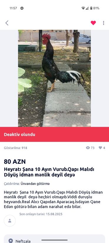 Opel: Salam əziz vətəndaşlar . bu şəxs bütün sosial şəbəkələrdə