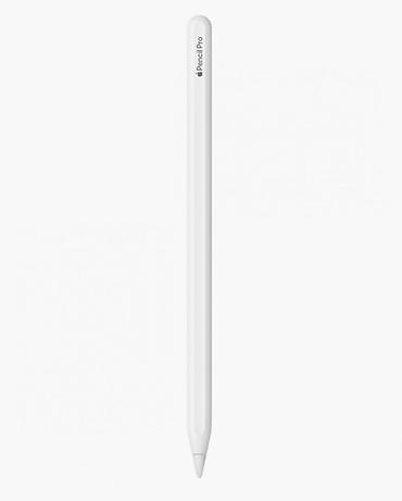 apple pencil 1: Apple Pencil Pro - Стилус для iPad с поддержкой магнитного крепления — 2