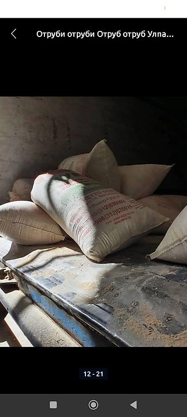 Корма для с/х животных: Улпак отруби кебек оптом - Натуральные отруби крупного и среднего — 10