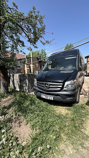 эндокринолог каракол: Грузоперевозки по городу и по региону
Бишкек Каракол - Каракол Бишкек — 1