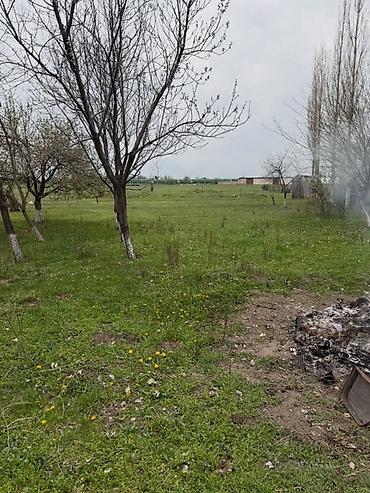 Продажа домов: Коттедж, с. Петровка (военный городок), ул. Фрунзе, 56/1. Кадастровый — 6