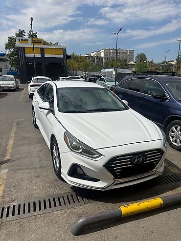 sonata 2012: Hyundai Sonata: 2019 г., 2.4 л, Автомат, Бензин, Седан — 1