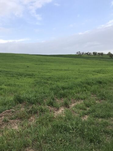 дом на колесах купить баку: 128 sot, Kənd təsərrüfatı, Kupça (Çıxarış)