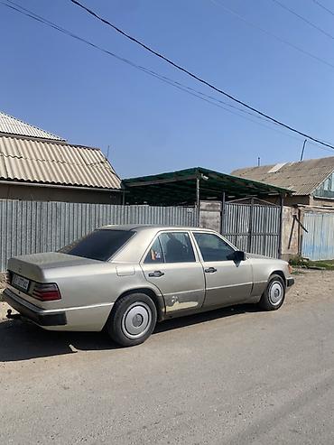 4355019 5: Mercedes-Benz W124: 1990 г., 2.9 л, Механика, Дизель, Седан — 3