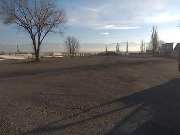 участки кызыл ту: С оборудованием, 7000 м² — 3