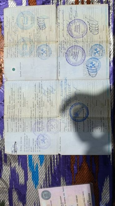 Volkswagen: Volkswagen Golf: 2000 г., 1.6 л, Механика, Бензин, Хэтчбэк — 17