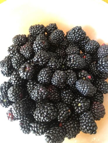 не йодированная соль: 🍇✨ Натуральная ЕЖЕМАЛИНА — вкус, который удивит! Свежесобранная
