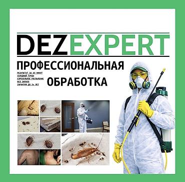 Дезинфекция, дезинсекция, | Клопы, Блохи, Тараканы, | Транспорт, Офисы, Квартиры at lalafo.kg Дезинфекция, дезинсекция, | Клопы, Блохи, Тараканы, | Транспорт, Офисы, Квартиры