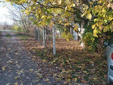 Kuće na prodaju: Prodajem manju vikendicu od 52m2 u Somboru na Bačkom kanalu kod mosta na lalafo.rs — 3 Kuće na prodaju: Prodajem manju vikendicu od 52m2 u Somboru na Bačkom kanalu kod mosta — 3